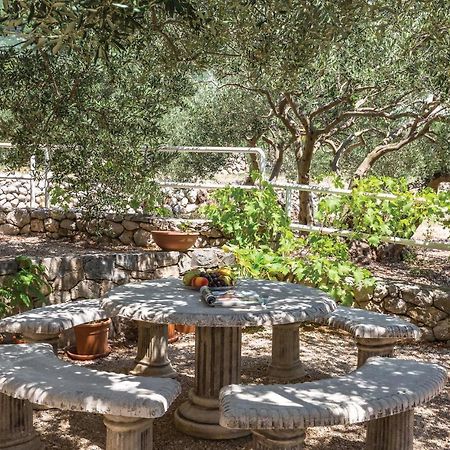 Cozy Apartment In Makarska With Kitchen Exteriör bild